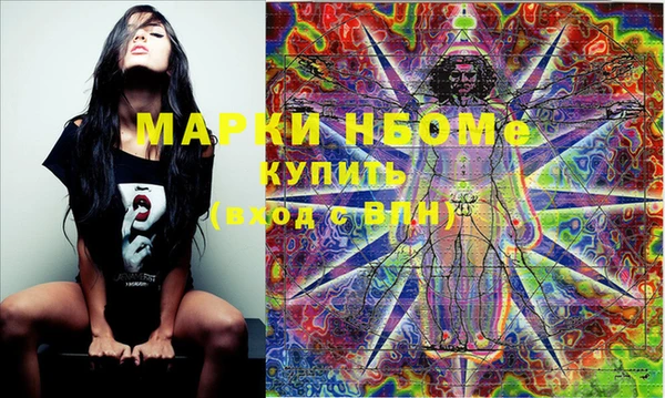 шишки Алексин