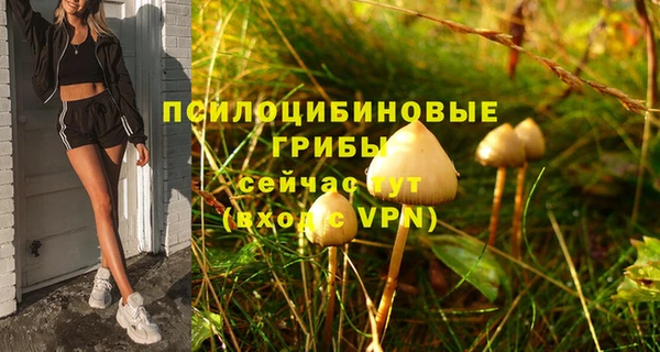 шишки Алексин