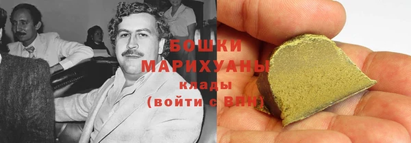 шишки Алексин