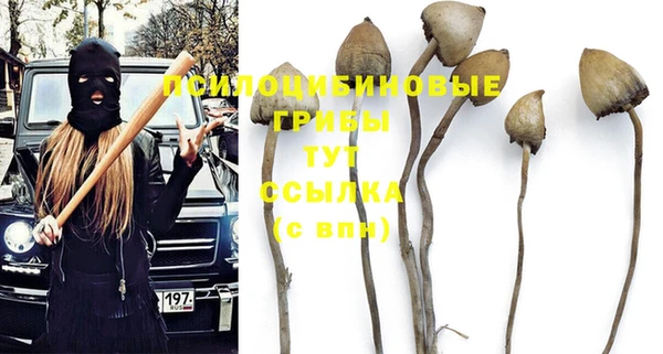 соль ск Алзамай
