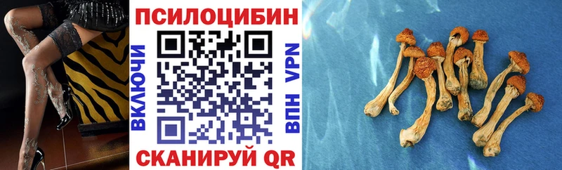 Галлюциногенные грибы MAGIC MUSHROOMS Кемерово